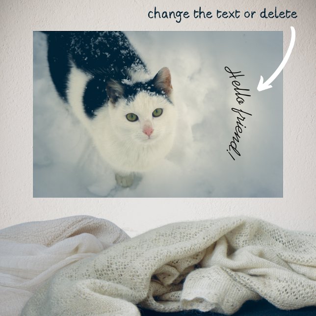 Affiche Chat (Créateur téléchargé)