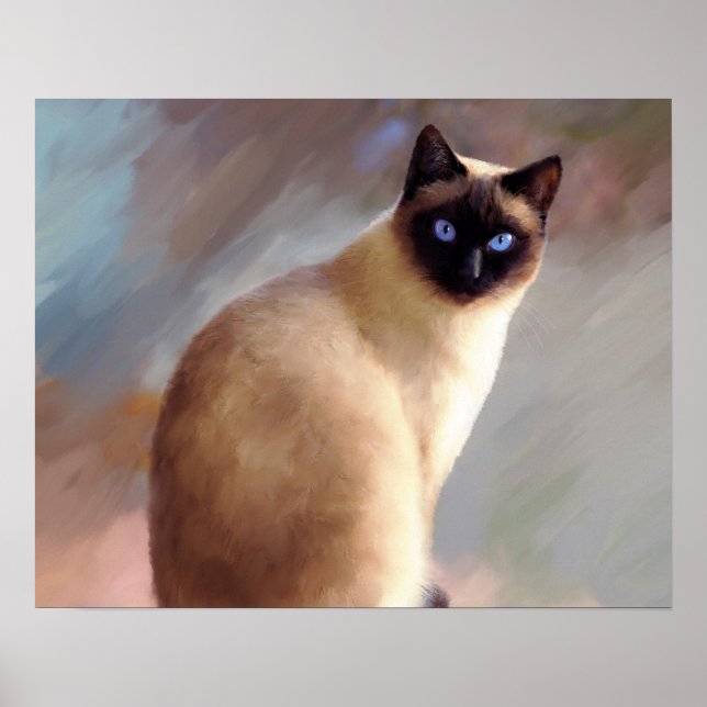 Affiche Chat 613 siamese (Devant)