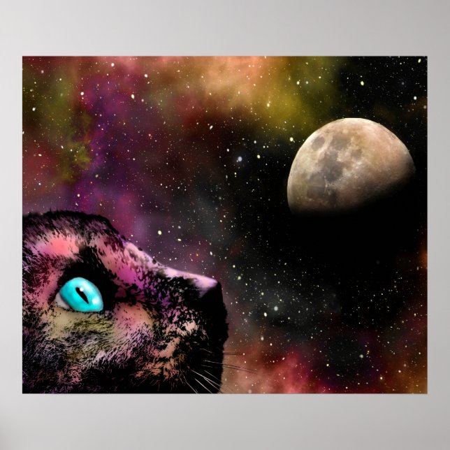 Affiche Chat 619 (Devant)