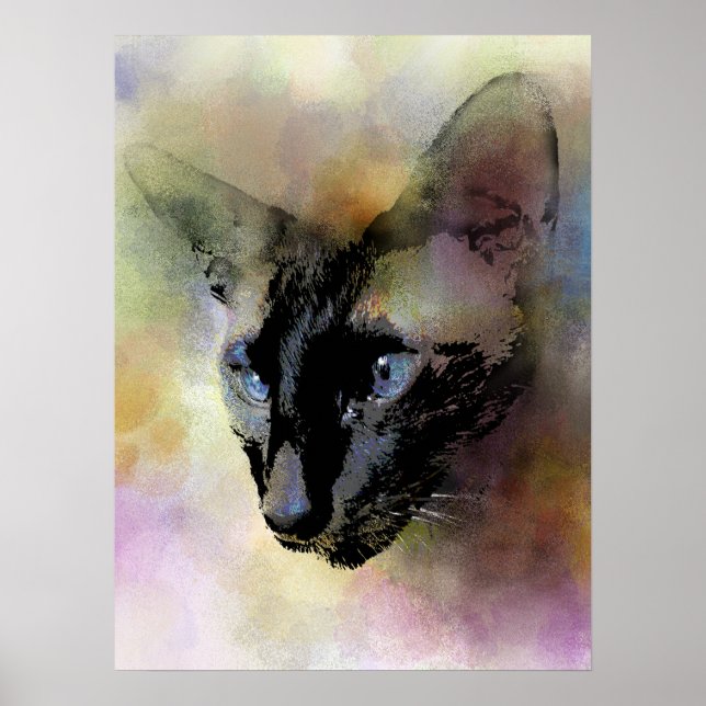 Affiche Chat 620 Siamais (Devant)