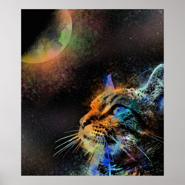 Affiche Chat 624 (Devant)