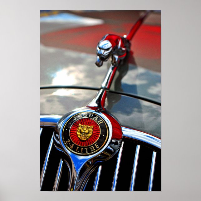 Affiche Chat à feuilles Jaguar (Devant)