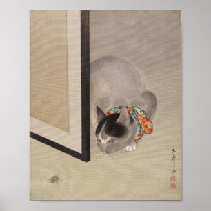 Affiche Chat à regarder une araignée   Oide Tōkō