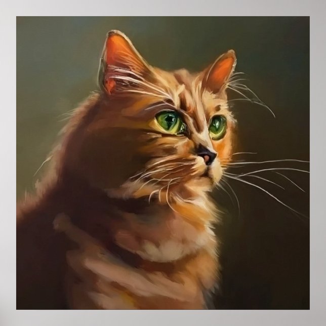 Affiche Chat américain (Devant)