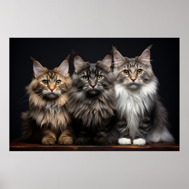 Affiche Chat Animaux de compagnie Portrait Nature Beauté (Devant)