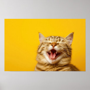 Affiche Chat au gingembre de rire sur Arrière - plan Jaune