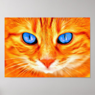 Affiche Chat aux yeux bleus