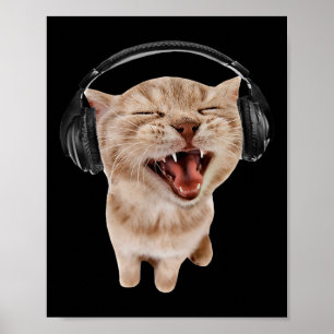 Affiche Chat avec casque mème