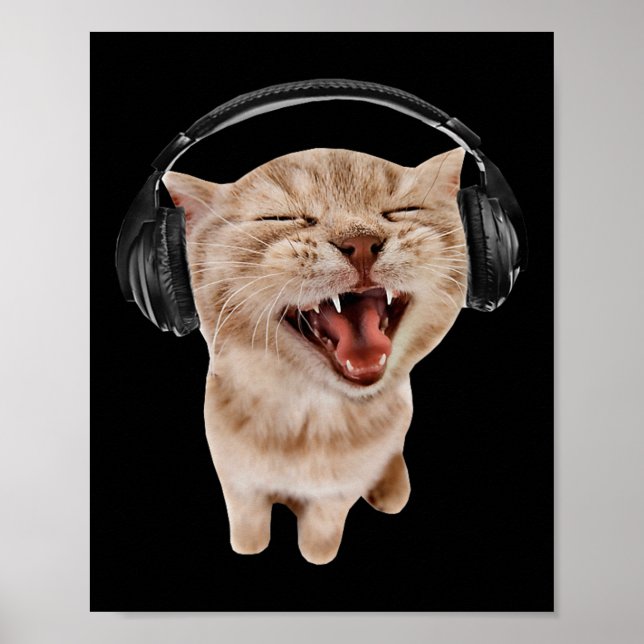 Affiche Chat avec casque mème (Devant)
