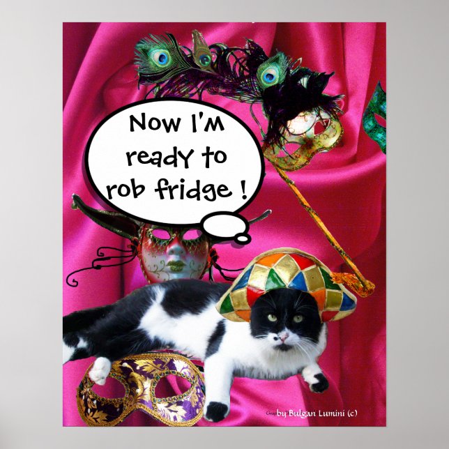 AFFICHE CHAT AVEC CHAPEAU D'ARLEQUIN ET MASQUES DE BAL MAS (Devant)