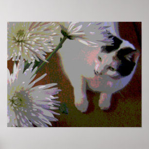 Affiche Chat avec Chrysanthemums en papier d'art