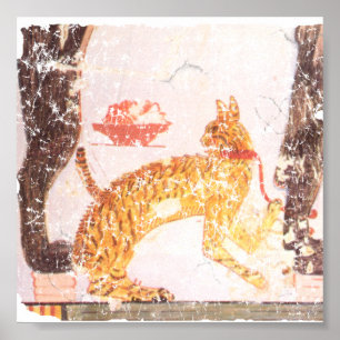 Affiche chat avec col