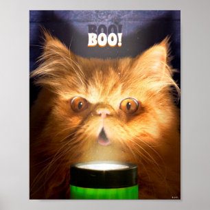 Affiche Chat avec lampe de poche