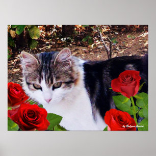 AFFICHE CHAT AVEC ROSES ROUGES