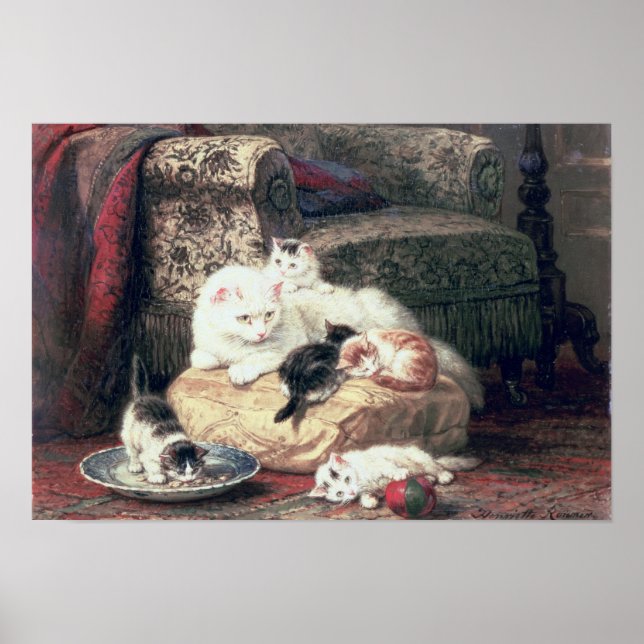 Affiche Chat avec ses chatons sur un coussin (Devant)