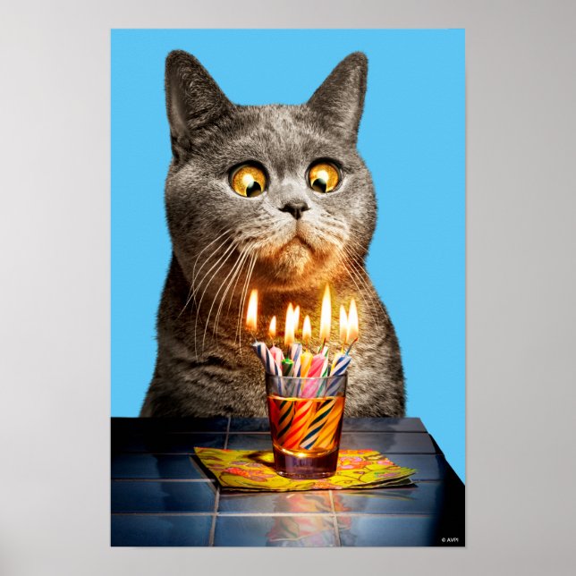Affiche Chat Avec Verre Balayé Anniversaire (Devant)