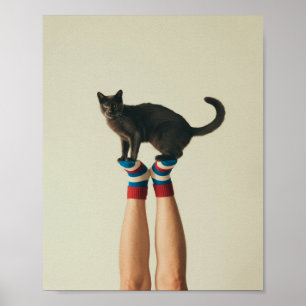 Affiche Chat Balancing sur Chaussettes rayées, Chat Noir