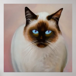 Affiche Chat balinais