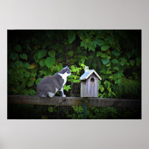 Affiche Chat & Birdhouse,