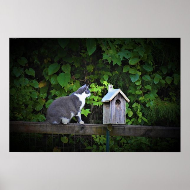 Affiche Chat & Birdhouse, (Devant)