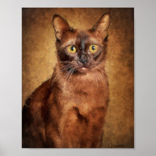 Affiche Chat birman brun