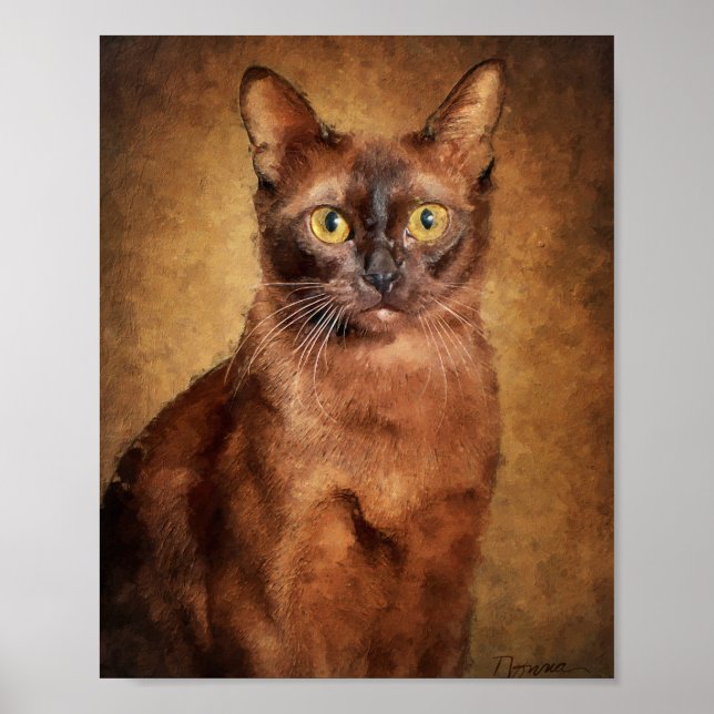 Affiche Chat birman brun (Devant)