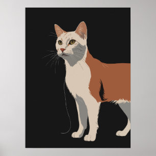 Affiche Chat blanc et orange en arrière - plan noir