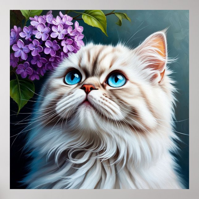 Affiche Chat Blanc Fluffy Avec Des Yeux Bleus (Devant)