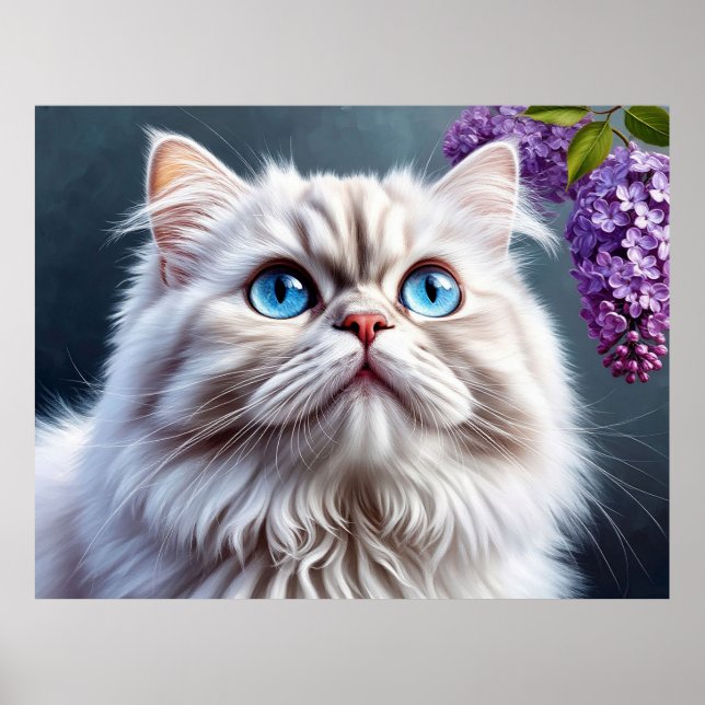 Affiche Chat Blanc Fluffy Avec Des Yeux Bleus (Devant)