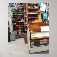 Chat Bodega