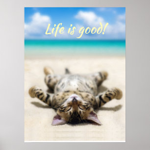 Affiche Chat bronzage à la plage
