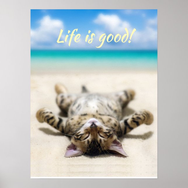 Affiche Chat bronzage à la plage (Devant)