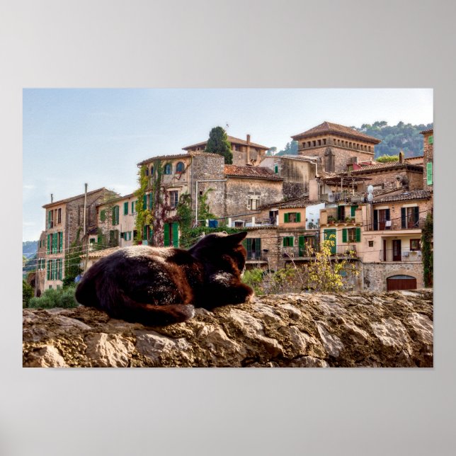 Affiche Chat bronzage sur un mur - Valldemossa, Majorque (Devant)