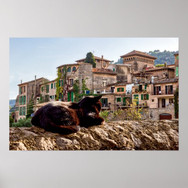 Affiche Chat bronzage sur un mur - Valldemossa, Majorque (Devant)