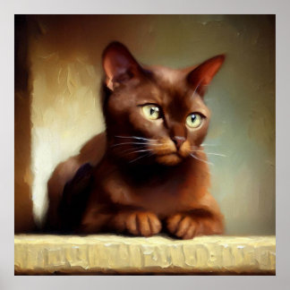 Affiche Chat Brown Havana
