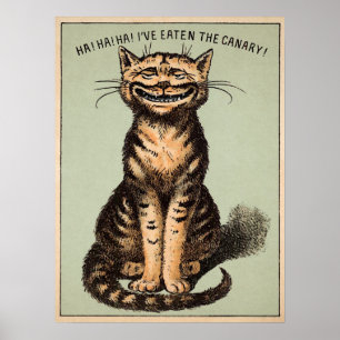 Affiche Chat canari vintage