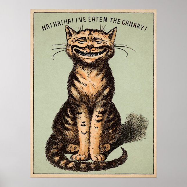 Affiche Chat canari vintage (Devant)