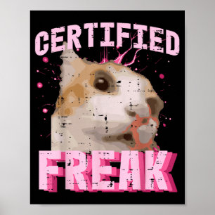 Affiche Chat certifié fou drôle dicton chaton femme fille