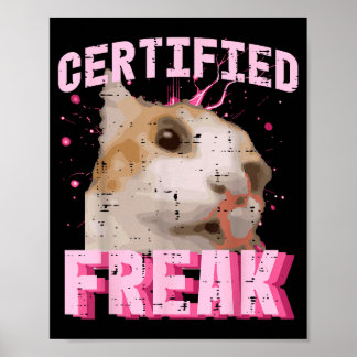 Affiche Chat certifié fou drôle dicton chaton femme fille