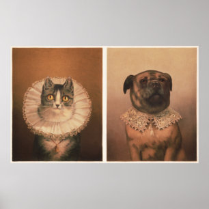 Affiche Chat & Chien