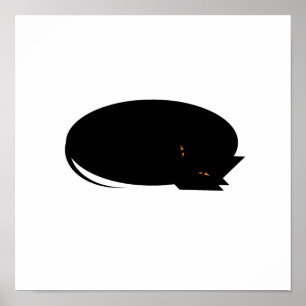 Affiche Chat confortable