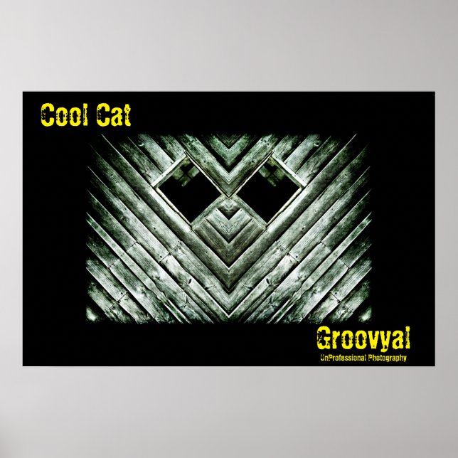 Affiche Chat cool (Devant)