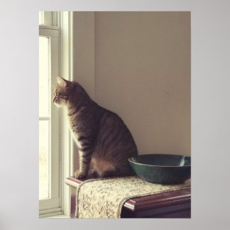 Affiche Chat dans la fenêtre
