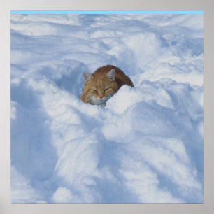 Affiche Chat dans la neige