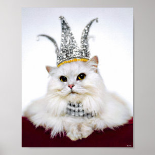 Affiche Chat dans une couronne