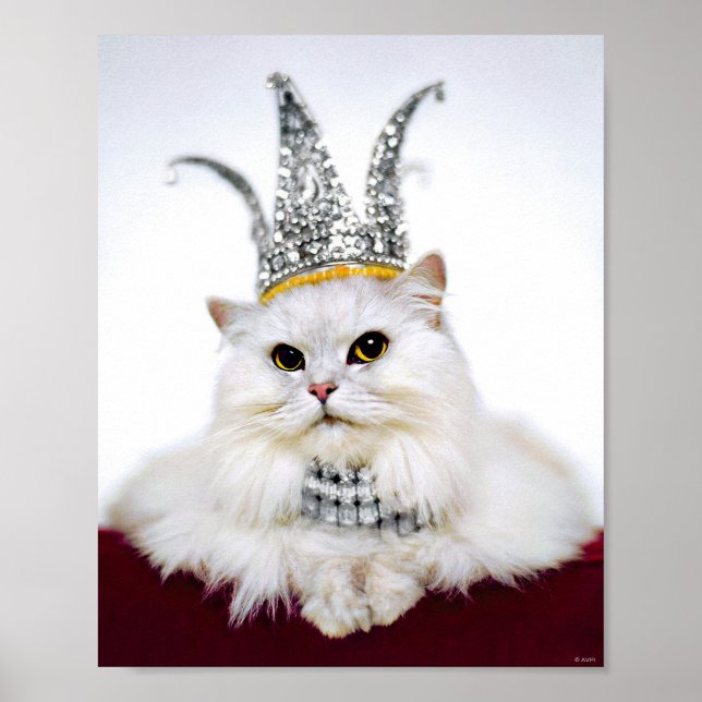 Affiche Chat dans une couronne (Devant)