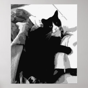 Affiche Chat de blanchisserie