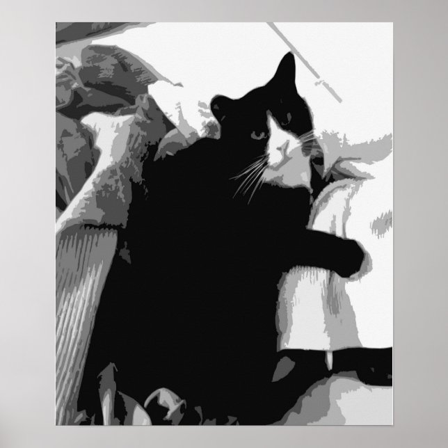 Affiche Chat de blanchisserie (Devant)