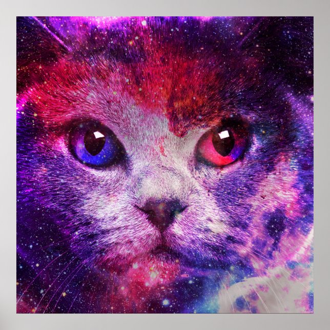 Affiche Chat de la galaxie violette  (Devant)