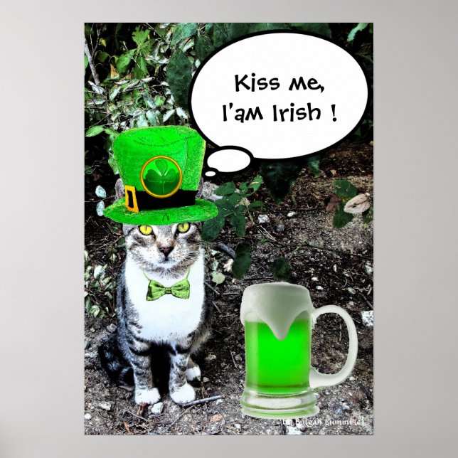 AFFICHE CHAT DE LA SAINT-PATRICK AVEC BIÈRE IRLANDAISE VER (Devant)